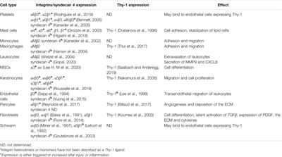 Thy-1 (CD90), Integrins and Syndecan 4 are Key Regulators of Skin Wound Healing